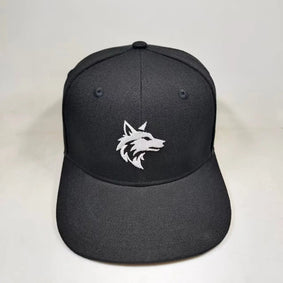 Velien Fitted & Snapback Caps Velien